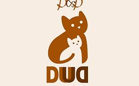 Duud